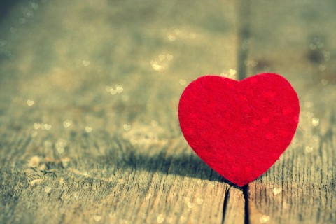 一颗心只能爱一个人