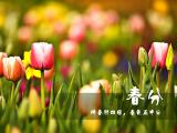 二十四节气春分